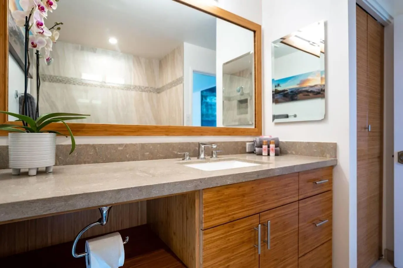 Luxurious Wailea Ocean Vistas Apartment United States