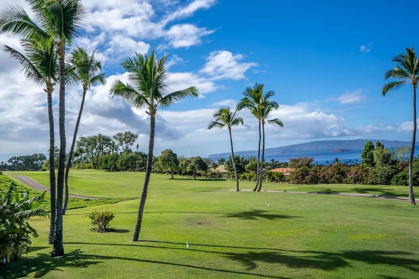 Luxurious Wailea Ocean Vistas Apartment United States